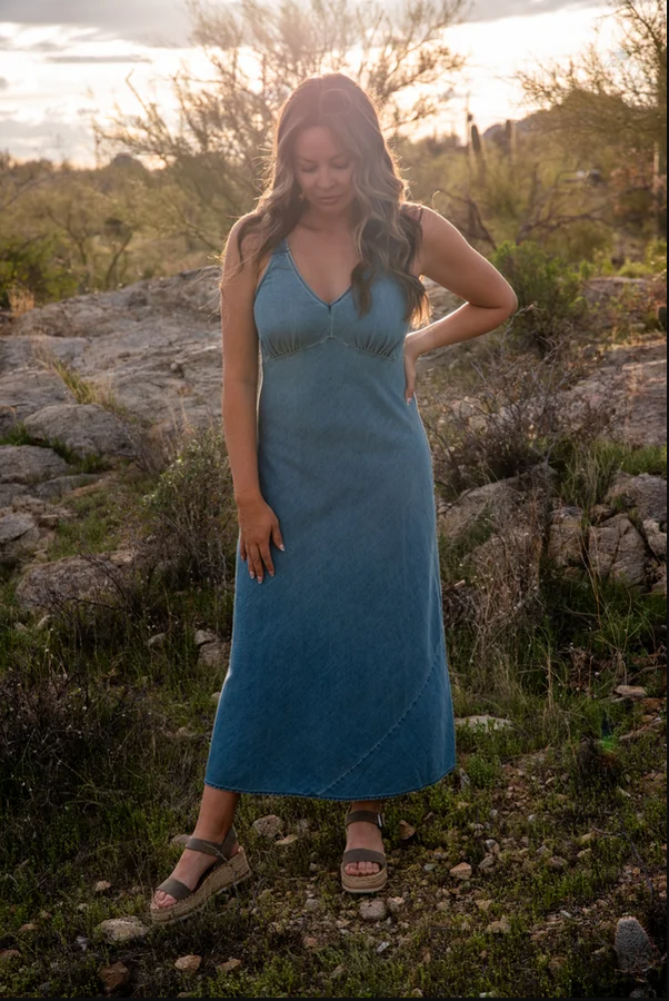 Denim Debbie Dress - Grace Boutique